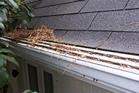 Are Gutter Guards Worth It?