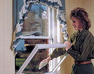 Double Hung Windows