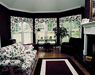 Siding, Vinyl Windows & Bowed Windows