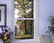 Double Hung Vinyl Windows